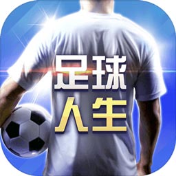 搏冠体育app入口官网